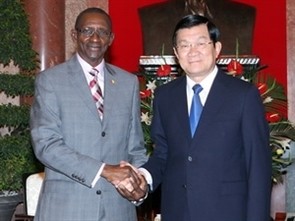 President Truong Tan Sang receives Guinea Trade Minister  - ảnh 1